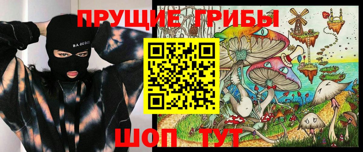 Каспийск  Псилоцибиновые грибы Psilocybe  Вход с VPN 